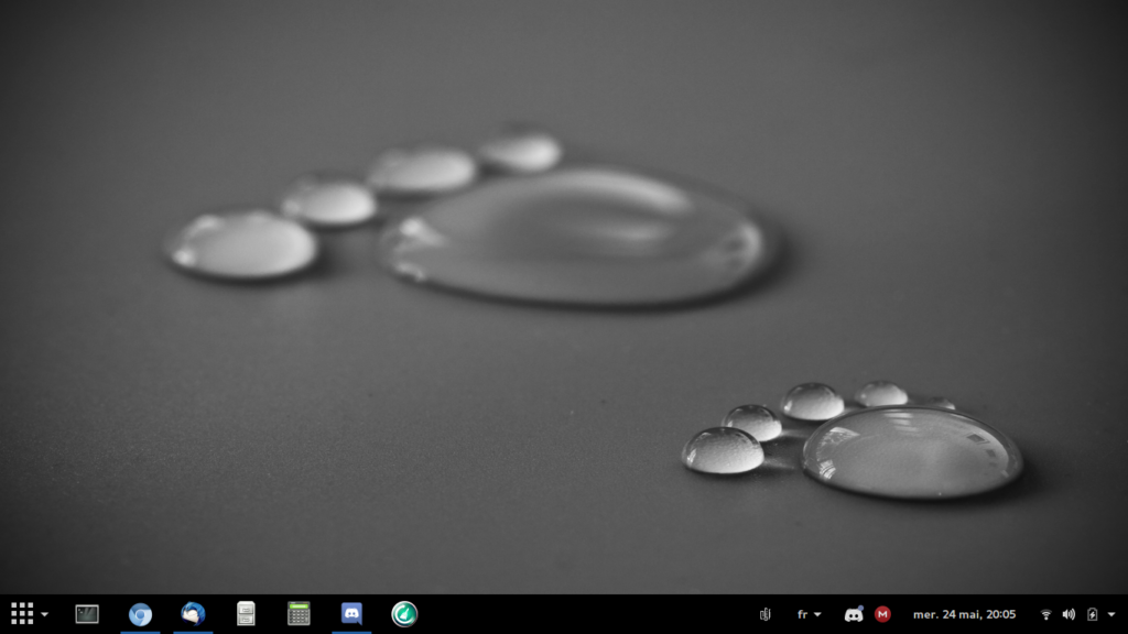 Capture d'ecran avec l'extension Dash To Panel installé